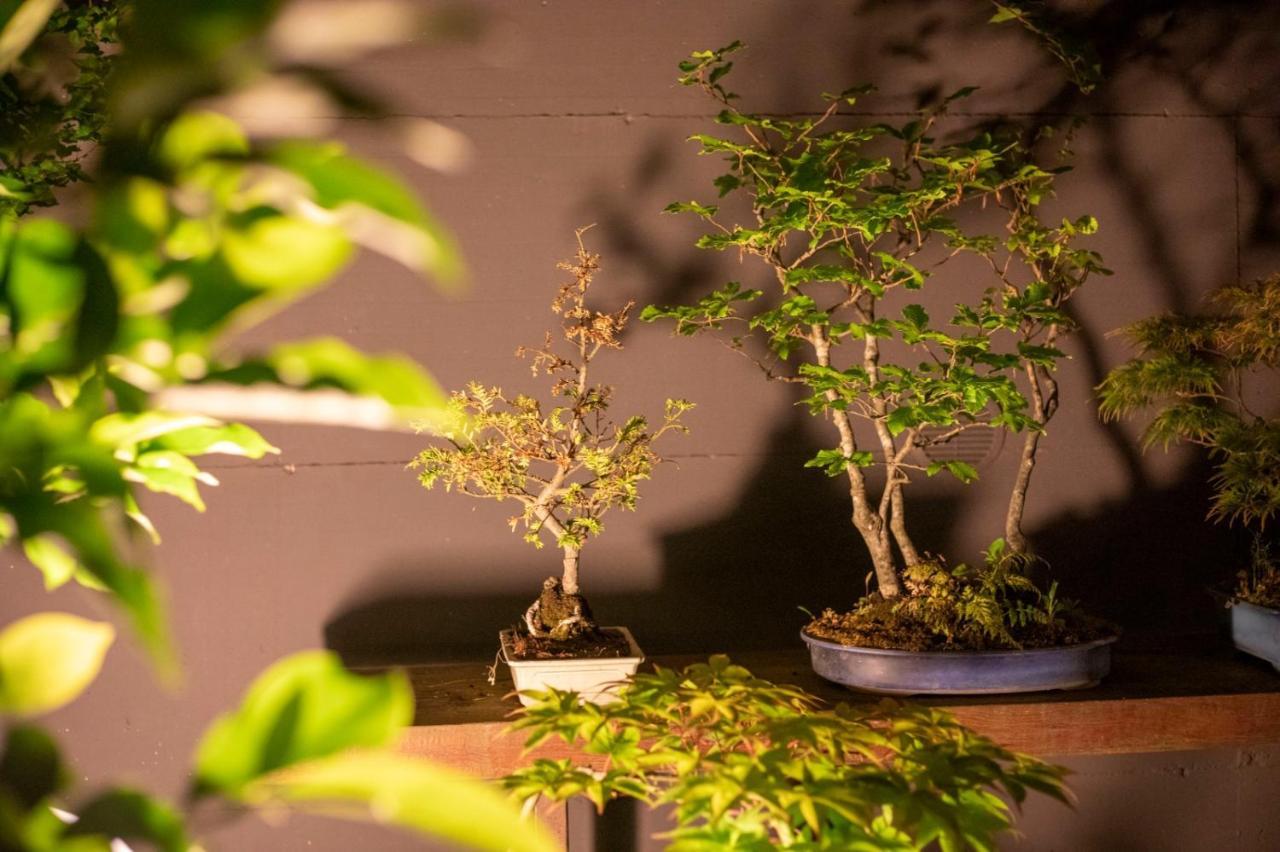 Il Giardino Segreto Apartman Carbognano Kültér fotó