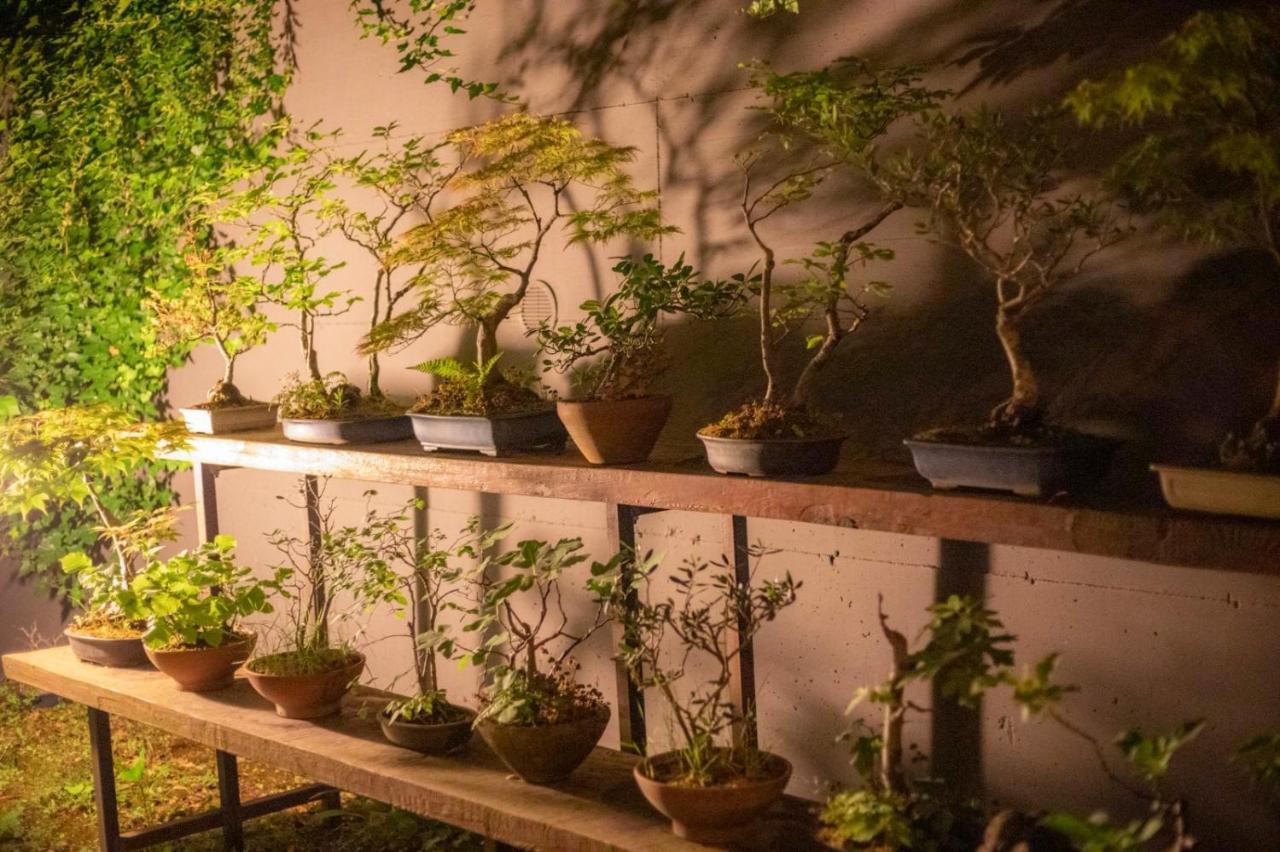 Il Giardino Segreto Apartman Carbognano Kültér fotó