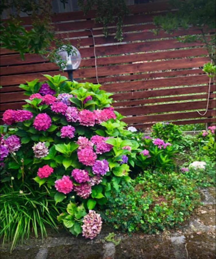 Il Giardino Segreto Apartman Carbognano Kültér fotó