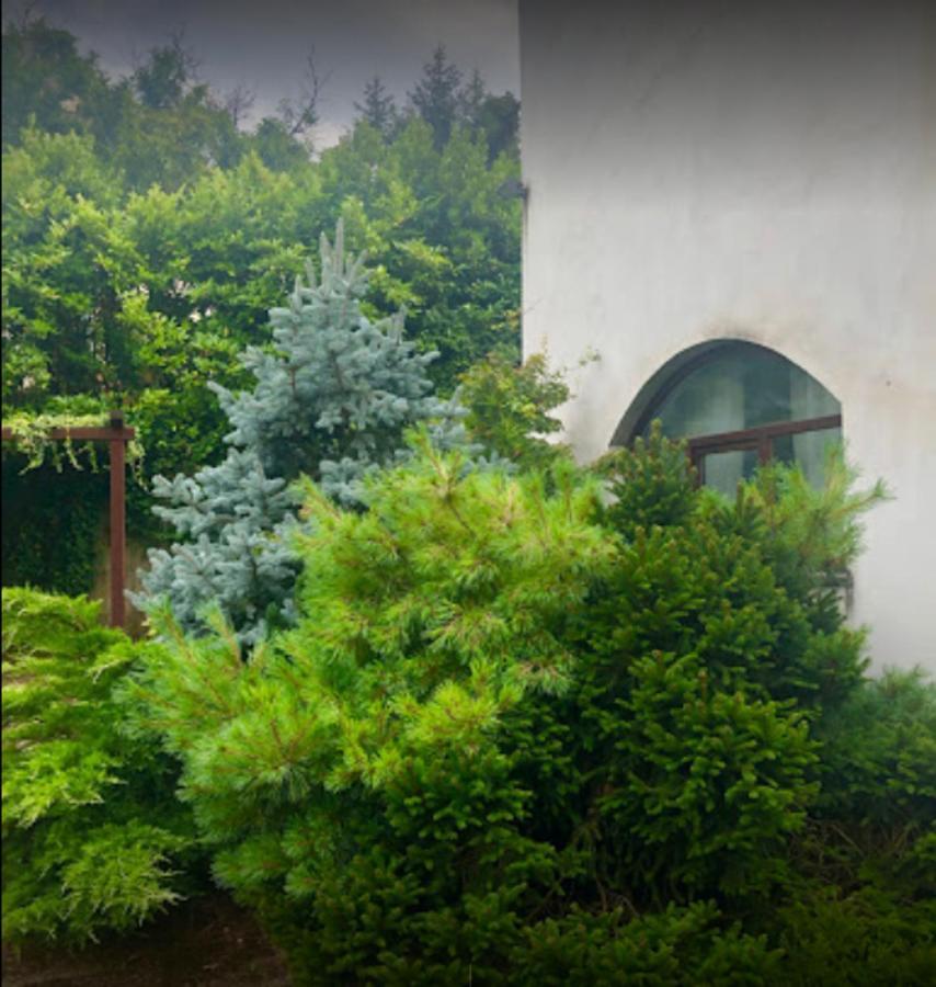 Il Giardino Segreto Apartman Carbognano Kültér fotó
